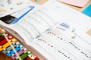 开云电竞-中小学体育教师继续教育体系建设与实施研究，小学体育继续教育考试试题及答案